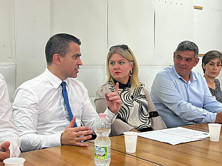 Србија - дијаспора - Милићевић