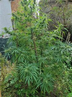 Република Српска - Брод - полиција