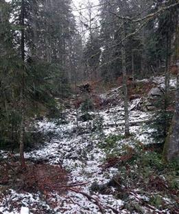 ФБиХ - Дрвар - фото-вијест