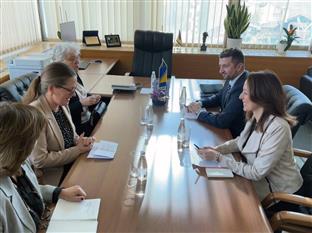 БиХ - Шведска 