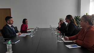 БиХ - Шведска - Амиџић, Лагерлоф