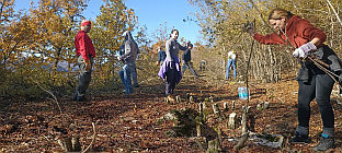 ФБиХ - Дрвар - радне акције