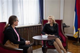 БиХ - Шведска - Цвијановић, Лагерлоф