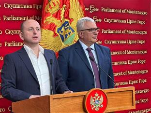 Црна Гора - Мандић, Кнежевић - новинари