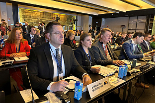 БиХ - парламент - Конференција парламентарних одбора за послове ЕУ