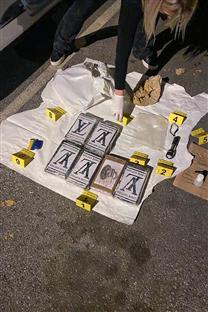 Србија - полиција