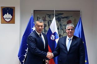 БиХ - Словенија - Нешић, Поклукар