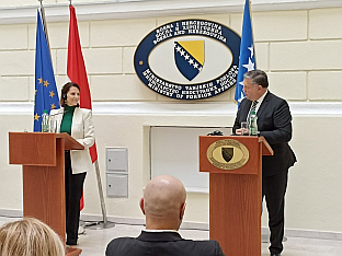 БиХ - Аустрија - Бркић, Едштадлер