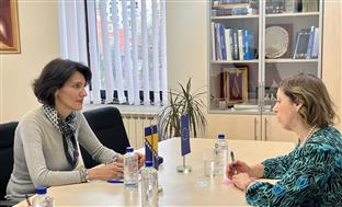 БиХ - ДЕИ - Хабота, Ефтимијаду