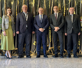 БиХ - Лакета, Милина