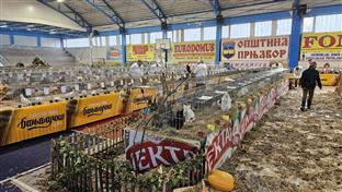 Република Српска - Прњавор - Удружење "Феникс"