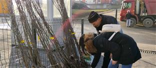 Република Српска - Власеница - воћарство