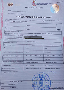 Србија - БиХ - Јовић - документ