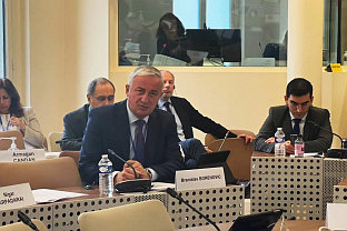 БиХ - Парламентарна скупштина