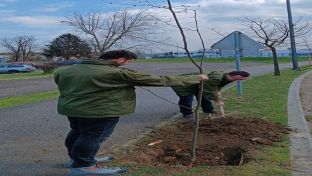 Дервента - обиљежавања Свјетског дана шума