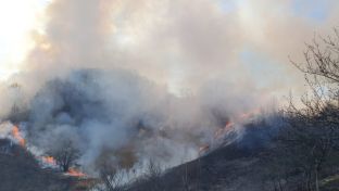Зворник/Осмаци - пожари