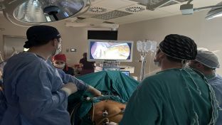 Бијељина - Боница - изведена  операција снањена желуца