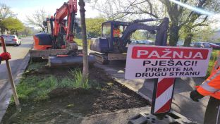 Бањалука - садња 110 нових садница у дрворед на Булевару Степе Степановића