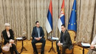 Београд - Будимир,Ружић