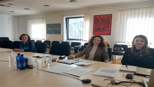 Сарајево - ЕУ - Пододбор за трговину, индустрију, царине и опорезивање