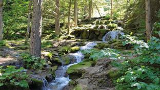 Пале - ријека Паљанска Миљацка