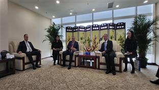 Пекинг - Вишковић - Бинг