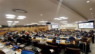 Сарајево/Њујорк - сједница Комисије за становништво и развој УН - Бошњак