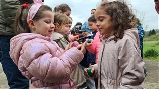 Добој - Васкршње игре