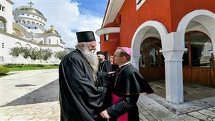 Подгорица - митрополит Јоаникије,  надбискуп барски Ђонлешај - пријем