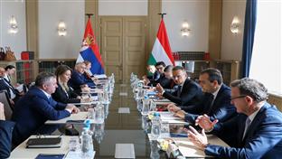 Београд - Будимпешта - Сијарто, Ђедовић - састанак