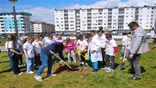 Источно Сарајево - Парк Великана - засађен црвени храст