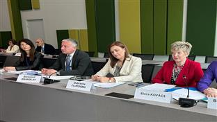 Бањалука - Борислав Бореновић