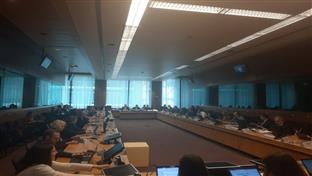 Сарајево - Радна група за Балкан Савјета ЕУ у Бриселу - Бркић