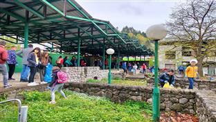 Сребреница - акција чишћења