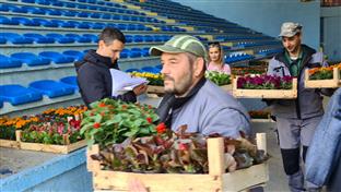 Добој - почела подјела садница  - "За љепши и уређенији Добој"