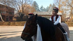 Дравар - Аматерско културно-умјетичко друштво "Мира Лукач"