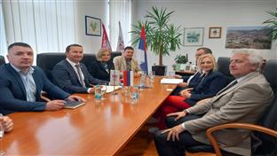 Tребиње - Чабрић, Ћурић