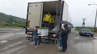 Нови Град - подијељене саднице краставаца корнишона