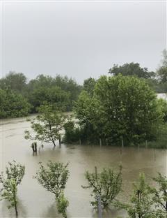 Приједор - водостај ријеке Сане