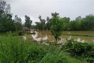 Србац - поплаве