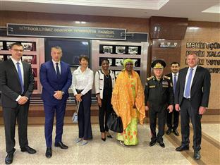 БиХ -  Азербејџан - Нешић 