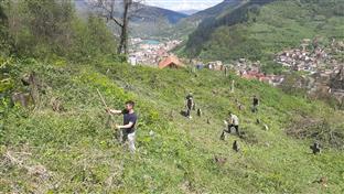 Фоча - уређење старог православног гробља