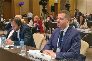 БиХ - Азербејџан - ОЕБС - Ковачевић - конференција 