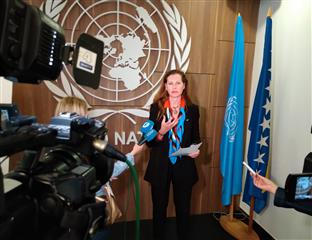 Сарајево - Ингрид Мекдоналд – пројекат 