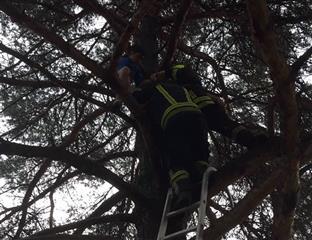 Република Српска – Бањалука – ватрогасци