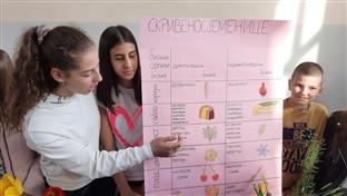 Фоча - ОШ "Свети Сава" - школски фестивал природних наука 