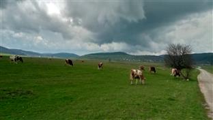 Соколац - фарма породице Солдар