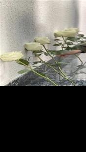 Трново - ОШ "Свети Сава" - ученици одатали почаст страдалим у Београду