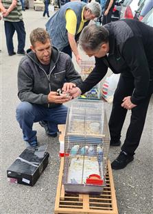 Република Српска - Добој - ситне животиње - ревијална изложбено-продајна  берза