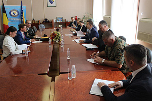 БиХ - Белгија - Гогановић, Стуртеваген